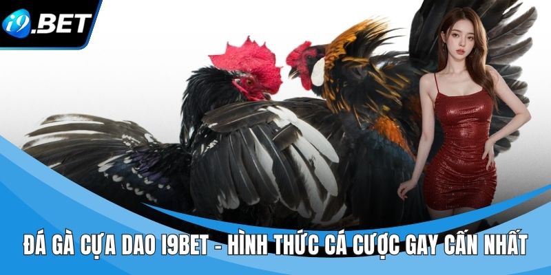 Đá Gà Cựa Dao