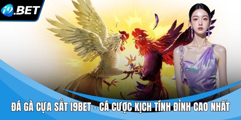 Đá gà cựa sắt