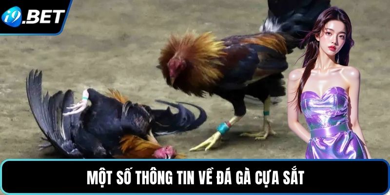 Một số thông tin về đá gà cựa sắt