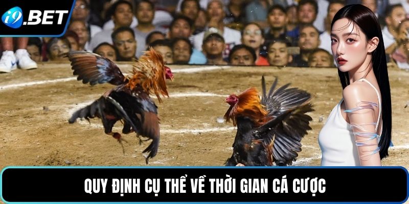 Quy định cụ thể về thời gian cá cược