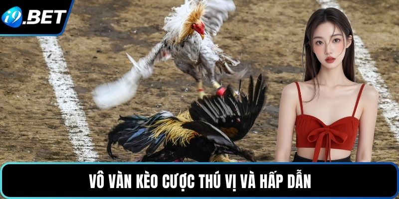 Vô vàn kèo cược thú vị và hấp dẫn